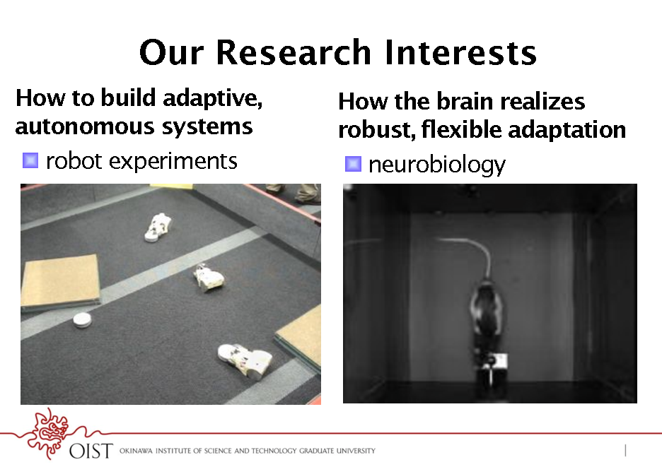 Slide: Our Research Interests
How to build adaptive, autonomous systems !  robot experiments How the brain realizes robust, flexible adaptation !  neurobiology

