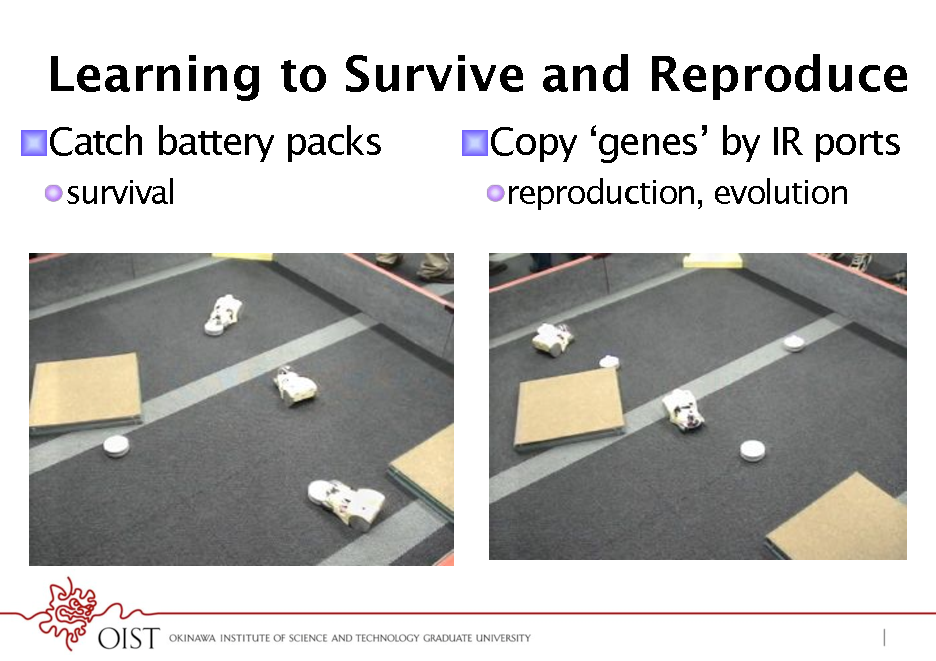 Slide: Learning to Survive and Reproduce
! Catch battery packs
! survival

! Copy genes by IR ports
! reproduction, evolution

