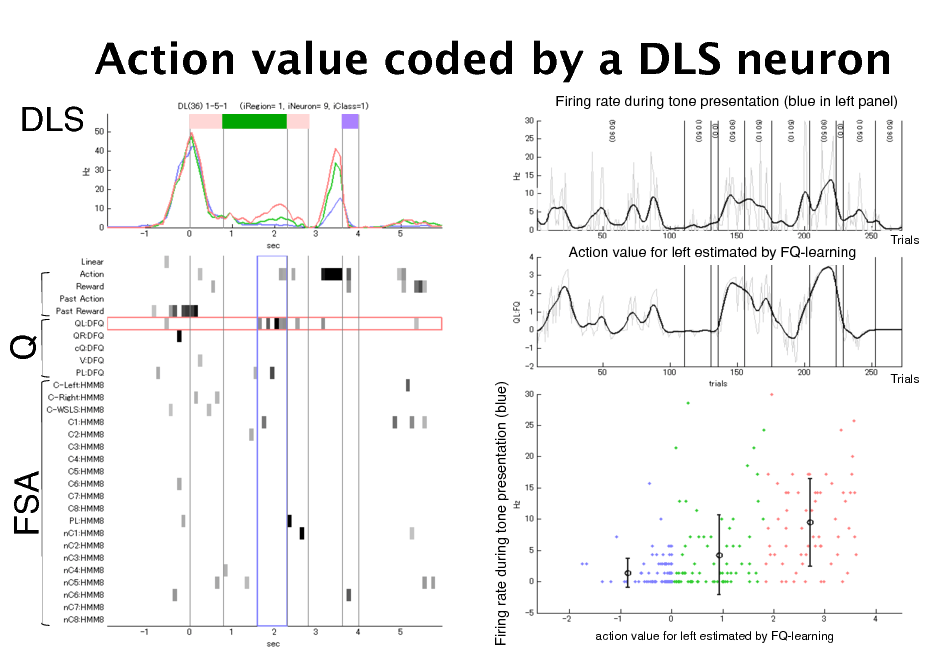 Slide: Action value coded by a DLS neuron
DLS!
Firing rate during tone presentation (blue in left panel)!

Action value for left estimated by FQ-learning!

Trials!

Q!

Firing rate during tone presentation (blue)!

Trials!

FSA!

action value for left estimated by FQ-learning!

