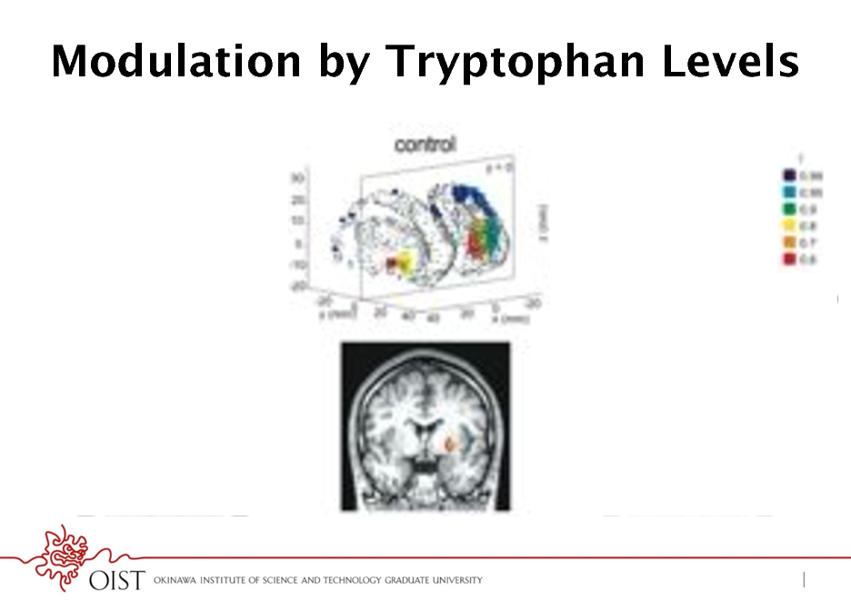 Slide: Modulation by Tryptophan Levels

