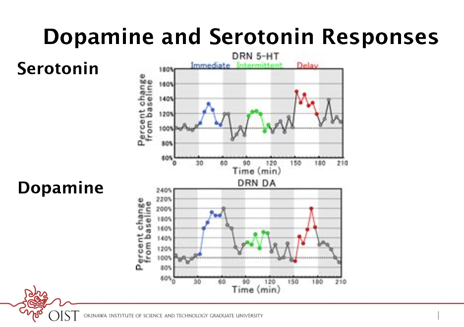 Slide: Dopamine and Serotonin Responses
Serotonin

Dopamine

