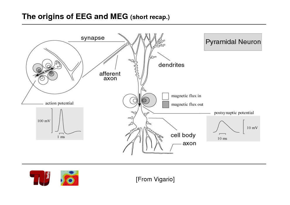 Slide: The origins of EEG and MEG (short recap.)
EPSPs and IPSPs

[From Vigario]

