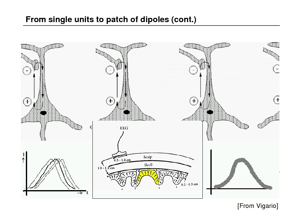 Slide: From single units to patch of dipoles (cont.)

[From Vigario]

