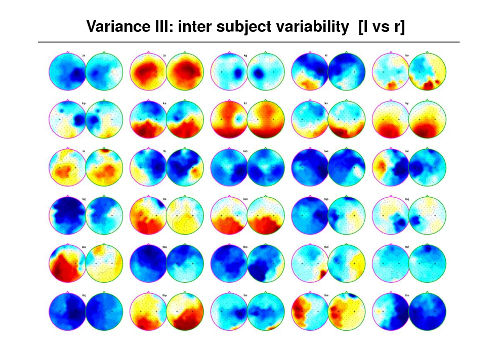 Slide: Variance III: inter subject variability [l vs r]

