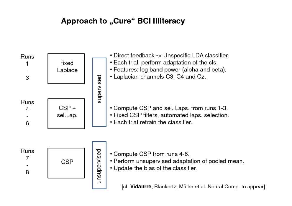 Slide: Approach to Cure BCI Illiteracy

Runs 4 6

supervised CSP + sel.Lap. unsupervised CSP

Runs 1 3

fixed Laplace

 Direct feedback -> Unspecific LDA classifier.  Each trial, perform adaptation of the cls.  Features: log band power (alpha and beta).  Laplacian channels C3, C4 and Cz.

 Compute CSP and sel. Laps. from runs 1-3.  Fixed CSP filters, automated laps. selection.  Each trial retrain the classifier.

Runs 7 8

 Compute CSP from runs 4-6.  Perform unsupervised adaptation of pooled mean.  Update the bias of the classifier.
[cf. Vidaurre, Blankertz, Mller et al. Neural Comp. to appear]

