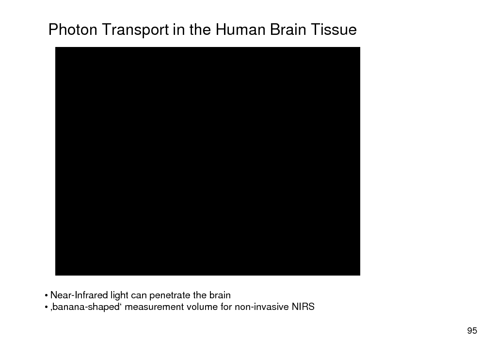 Slide: Photon Transport in the Human Brain Tissue

 Near-Infrared light can penetrate the brain  banana-shaped measurement volume for non-invasive NIRS
95

