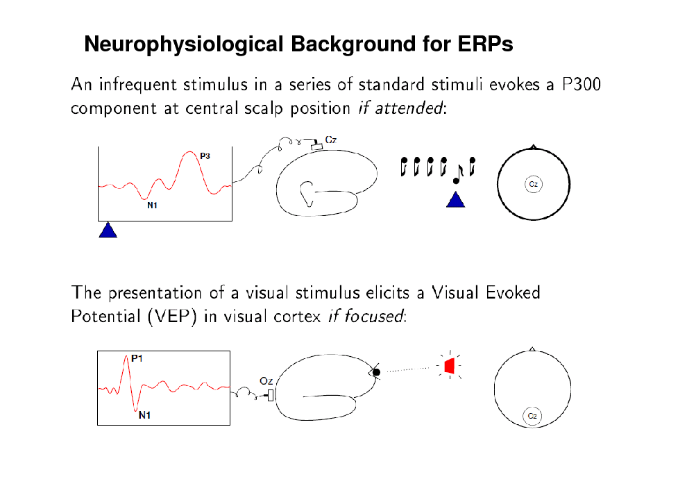 Slide: Neurophysiological Background for ERPs

