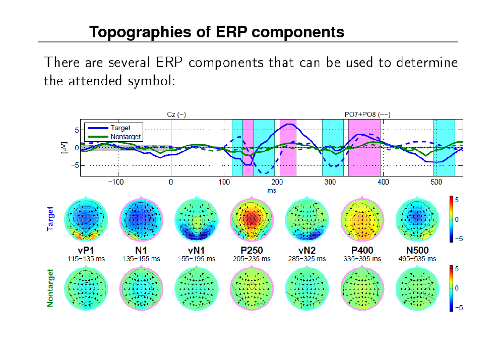 Slide: Topographies of ERP components

