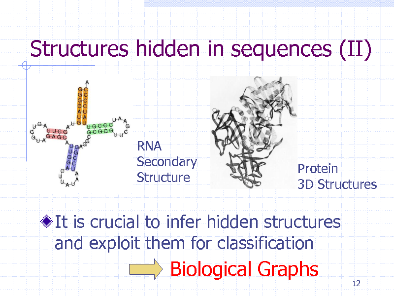 Slide: Structures hidden in sequences (II)

RNA Secondary Structure

Protein 3D Structures

It is crucial to infer hidden structures and exploit them for classification

Biological Graphs

12

