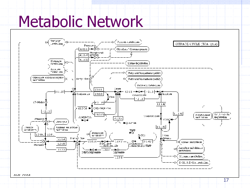 Slide: Metabolic Network

17

