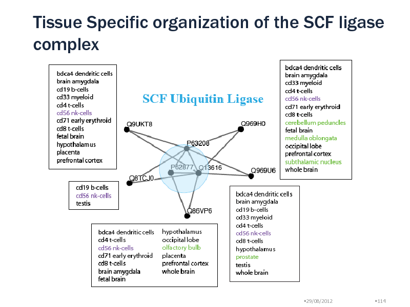 Slide: Tissue Specific organization of the SCF ligase complex

29/08/2012

114

