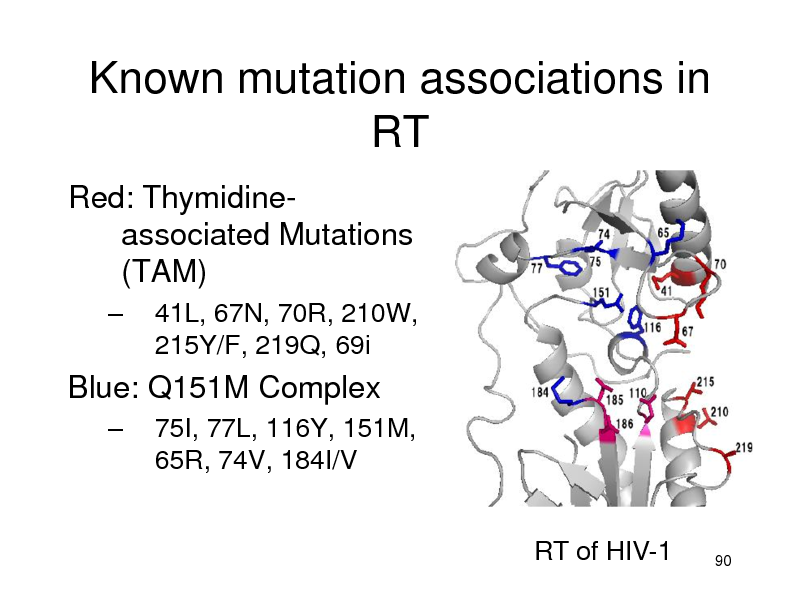 Slide: Known mutation associations in RT
Red: Thymidineassociated Mutations (TAM)
 41L, 67N, 70R, 210W, 215Y/F, 219Q, 69i 75I, 77L, 116Y, 151M, 65R, 74V, 184I/V
RT of HIV-1

Blue: Q151M Complex


90

