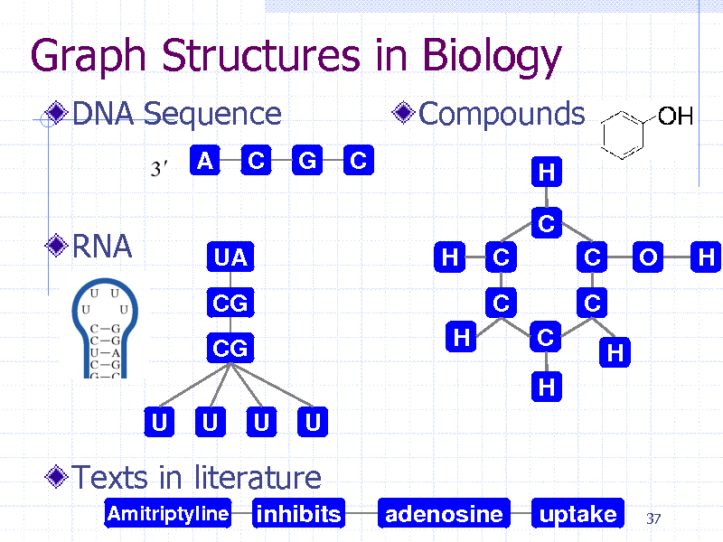 Slide: Graph Structures in Biology
DNA Sequence
A C G C

Compounds
H

RNA

C
UA CG CG U U U U H H C C O H

C
C H

C
H

Texts in literature
Amitriptyline

inhibits

adenosine

uptake

37

