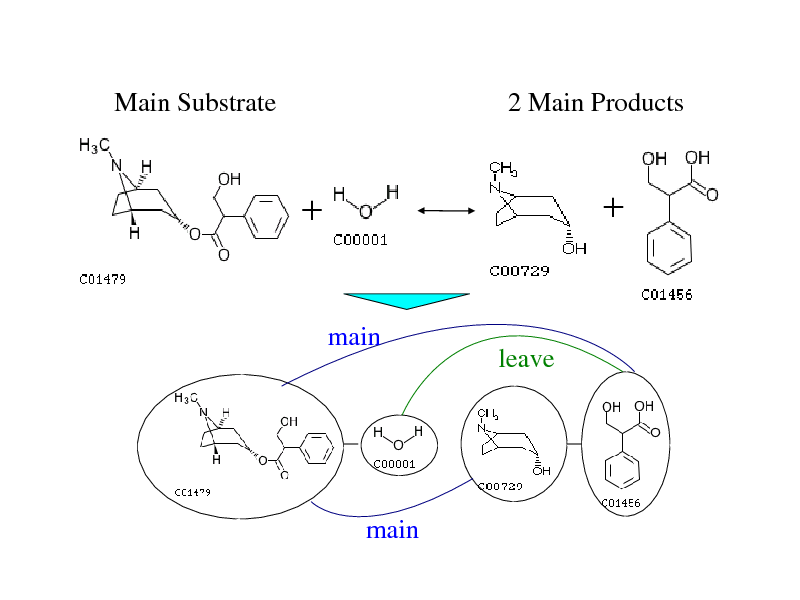 Slide: Main Substrate

2 Main Products





main

leave

main

