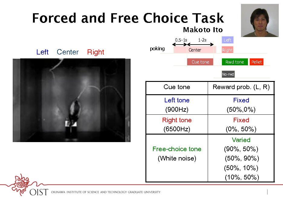 Slide: Forced and Free Choice Task
Makoto Ito
0.5-1s 1-2s Center Cue tone Left Right Rwd tone
No-rwd

Left !

Center !

Right !

poking

Pellet

Cue tone Left tone (900Hz)

Reward prob. (L, R) Fixed (50%,0%) Fixed (0%, 50%) Varied (90%, 50%) (50%, 90%) (50%, 10%) (10%, 50%)

pellet dish !

Right tone (6500Hz) Free-choice tone (White noise)


