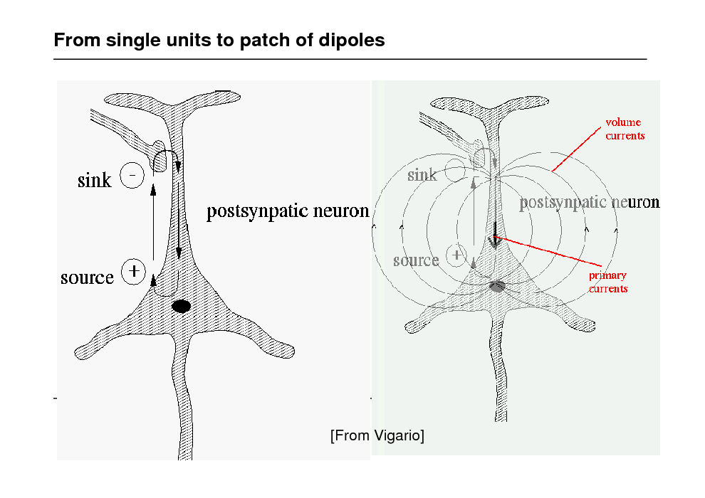Slide: From single units to patch of dipoles

[From Vigario]

